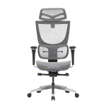 Ghế Công Thái Học Ergonomic ErgoStuhl Fenix 8 Pro - Test