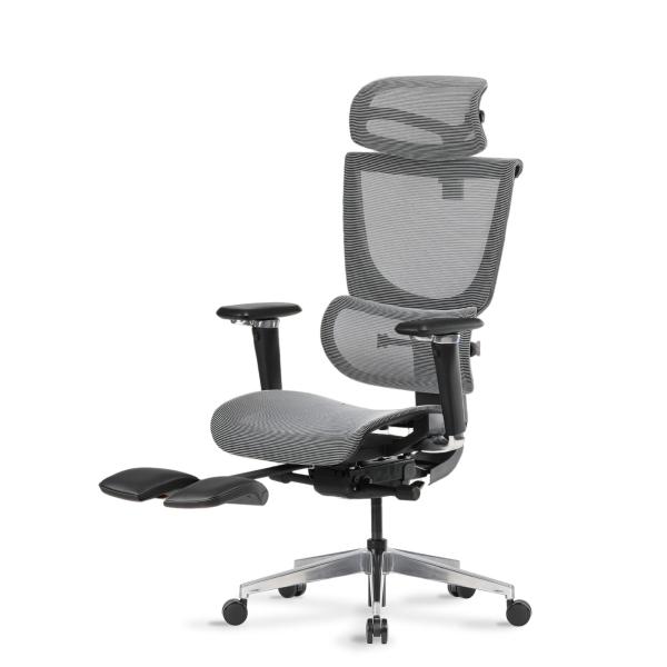 Ghế Công Thái Học Ergonomic ErgoStuhl Fenix 8 Pro - Test