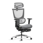 Ghế Công Thái Học Ergonomic ErgoStuhl Fenix 8 Pro - Test
